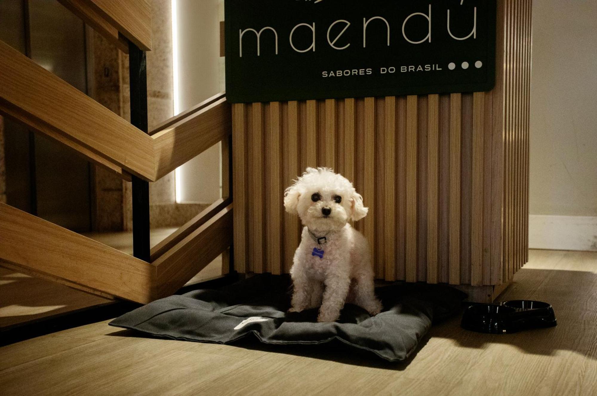 Mercure Maceio Pajucara מראה חיצוני תמונה